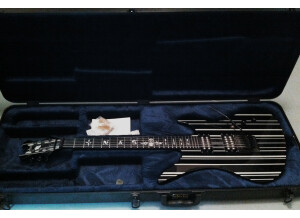 Schecter Synyster Gates Standard (29423)