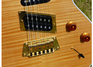 Gibson 20th Anniversary Nighthawk Standard - Antique Natural (64309)