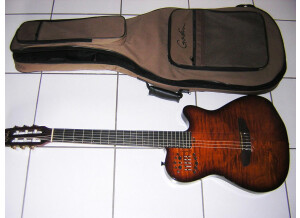 Godin Multiac Series - ACS Nylon Special Edition