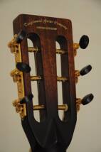 Tanglewood TW73 VS