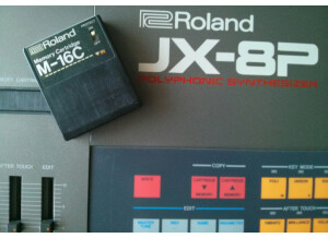 Roland JX-8P (40843)