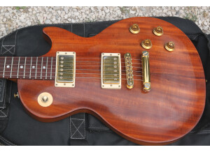 Gibson Les Paul Smartwood Exotic (2433)