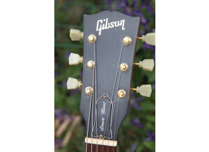 Gibson Les Paul Smartwood Exotic (37933)