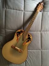 Adamas Guitars 1687