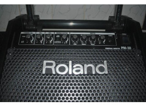 Roland PM-30 (11734)