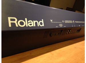 Roland EG-101 (96460)