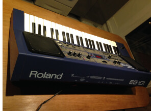 Roland EG-101 (25195)