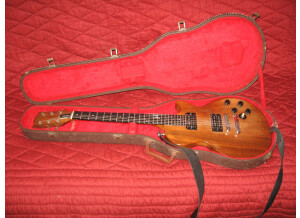 Gibson The Paul (361)