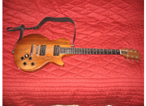 Gibson The Paul (88784)