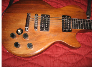 Gibson The Paul (68288)