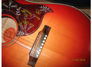 Gibson Maple Hummingbird
