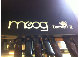 Moog Music Taurus (30196)