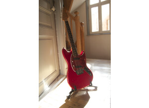 Fender Bassman (Blackface) (10245)