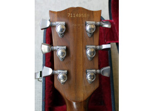 Gibson The Paul (55369)