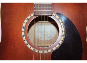 Art & Lutherie Cedar Antique Burst (3218)