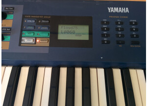 Yamaha AN1X (24367)