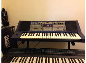 Roland EG-101 (48779)