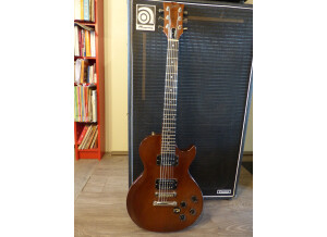 Gibson The Paul Firebrand (44847)