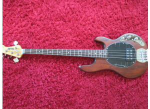Sterling by Music Man Ray4 (3050)