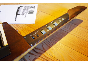 Korg RK-100 (45241)