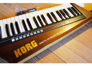 Korg RK-100 (13866)