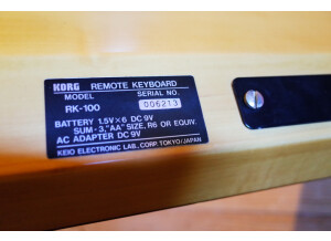 Korg RK-100 (94020)