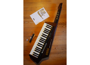 Korg RK-100 (14552)