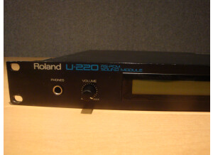 Roland U-220 (78167)