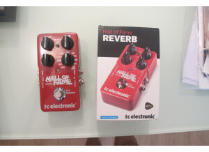 TC Electronic Hall of Fame Reverb (95179)