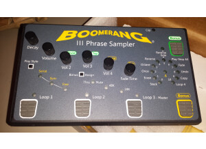 Boomerang III Phrase Sampler (44418)