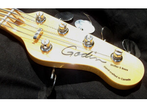 Godin Shifter 5 Bass