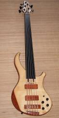 Noguera Expression Plus 5 Fretless