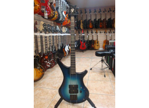 Vigier Passion (80434)