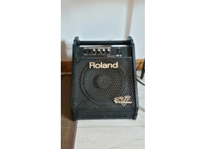 Roland Roland Td6 kx Vdrum Avec Ampli Roland PM 10