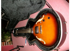 Ibanez AS73L (45557)