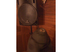 Behringer Eurolive B215A (43000)