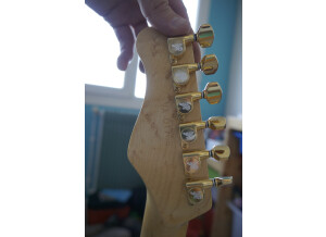 Valley Arts Guitars Custom Pro (58352)