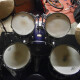 Export Select 5 Shells Standard 22" Export Select 5 Shells Standard 22"