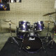 Export Select 5 Shells Standard 22" Export Select 5 Shells Standard 22"