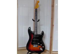 Fender Stratocaster Squier Series (4858)