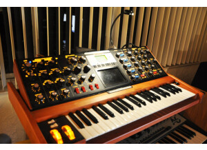 Moog Music Minimoog Voyager (66962)