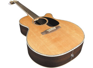 Takamine EG460SC (39467)