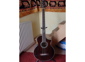 Ibanez Basse Electro-Acoustique - EW205BWNE NT