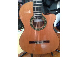 Alhambra Guitars 5P CT E2 (14485)