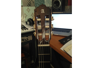 Alhambra Guitars 5P CT E2 (44966)
