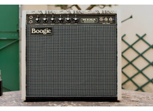 Mesa Boogie King Snake