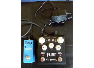 Strymon Flint (19747)