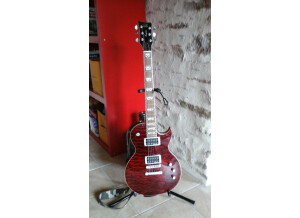 VIG Guitars Eruption (58747)