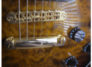 Spear Guitar RD-250 (61052)