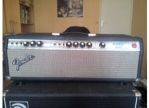 Fender Bassman 100 (Silverface) (54383)